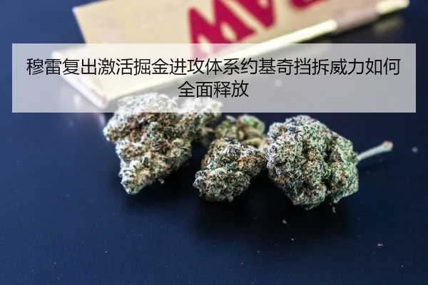穆雷复出激活掘金进攻体系约基奇挡拆威力如何全面释放